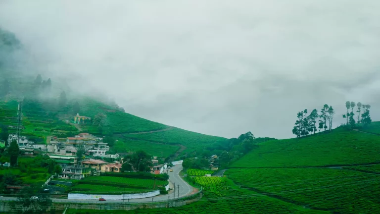 8 Days Bengaluru -Mysore-Ooty-Kodaikanal- Madurai Package