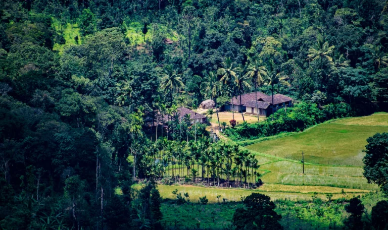 Green hills of Wayanad