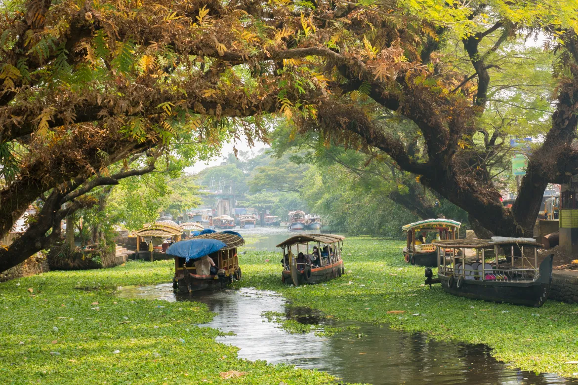 Luxury Kerala Honeymoon Packages