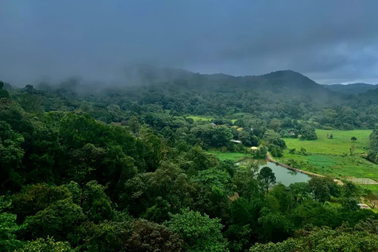 Bekal and Wayanad hills