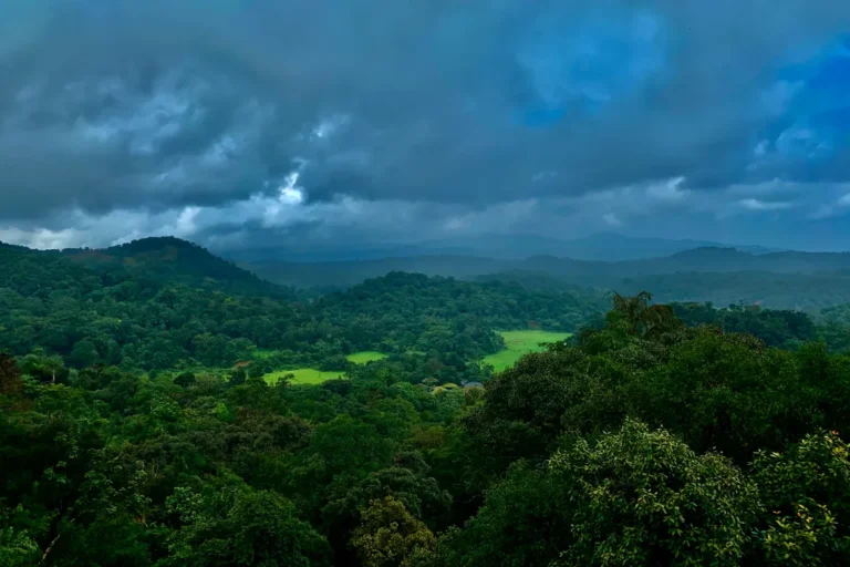 5 Days Coorg- Kabini  Package