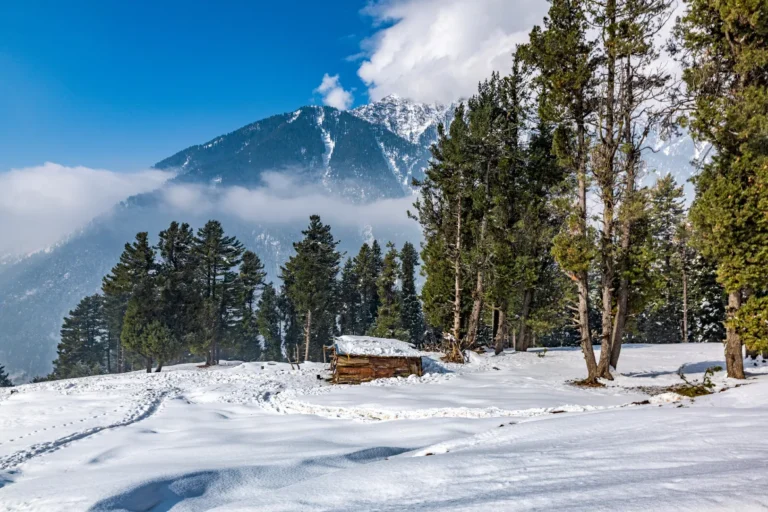 Snowy Kashmir valley