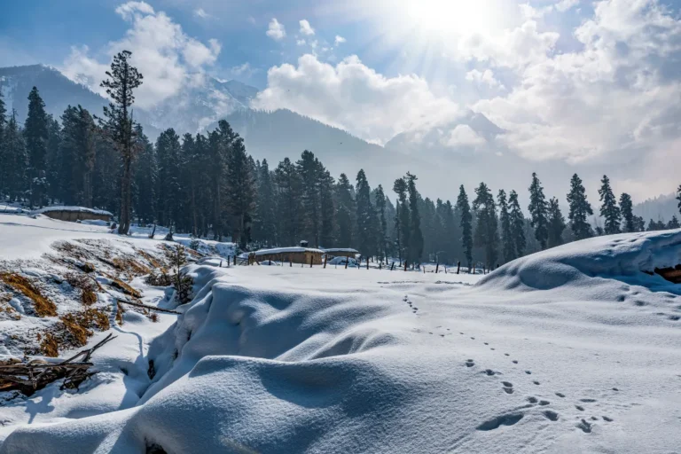8 Days Kashmir Package