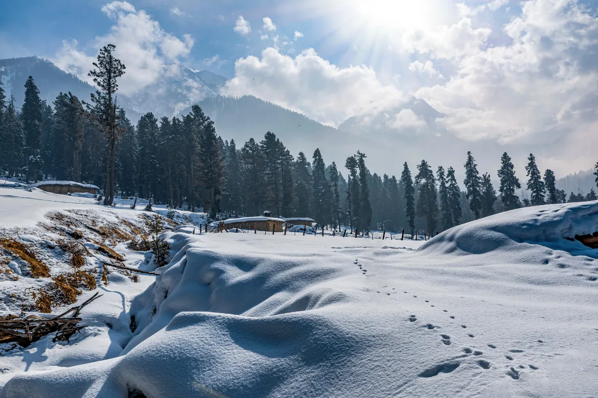 Kashmir Tour Packages from Kerala