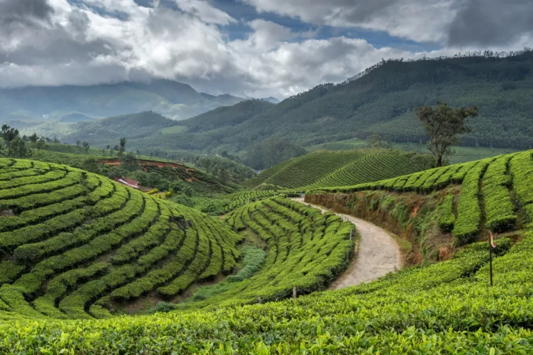 6 Days Luxury Kerala Package
