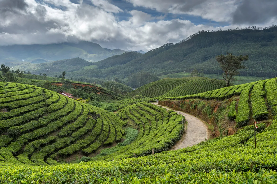 Luxury Kerala Honeymoon Packages