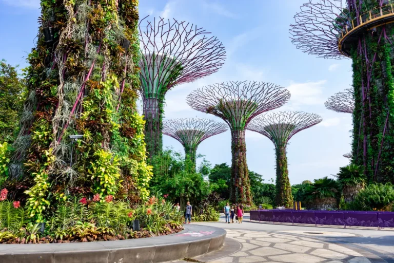 Singapore skyline