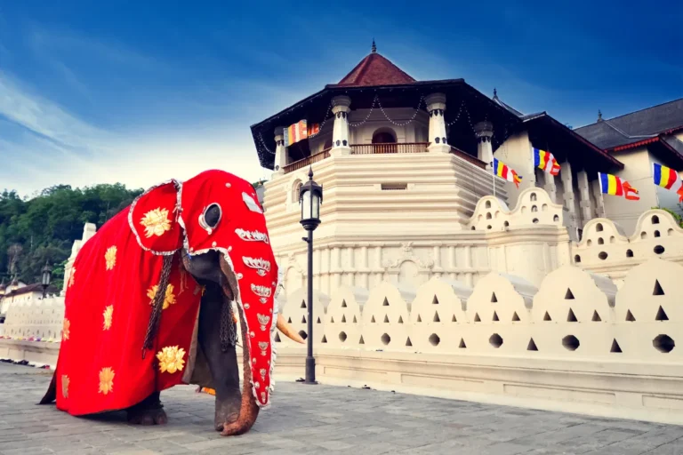 Sri Lanka landscape
