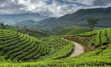 Munnar